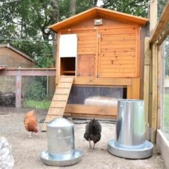 Poulailler Vorwerk Toit Shingle 10 à 12 Poules 29 Poulailler Vorwerk Toit Shingle 10 à 12 Poules -Poulaillers portier automatique poulailler zen farm vert ambiance 4