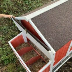 Poulailler Ardennais 6 à 8 Poules Toit Shingle -Poulaillers poulailler ardennais rouge pondoir ouvert