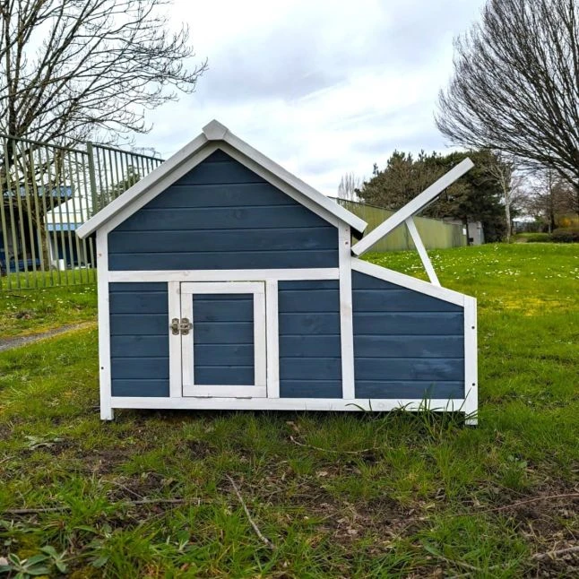 Poulailler Bantam XL Bleu Toit Shingle 2 à 4 Poules 5 Poulailler Bantam XL Bleu Toit Shingle 2 à 4 Poules – Image 3