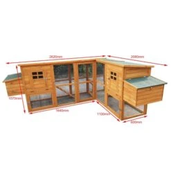 Liquidation - Poulailler Barbu Double Toit Shingle 6 à 10 Poules -Poulaillers poulailler bois barbu double dimensions