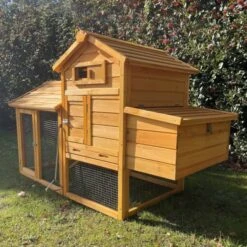 Poulailler Bréda S 1 à 2 Poules Toit Bois 16 Poulailler Bréda S 1 à 2 Poules Toit Bois -Poulaillers poulailler bois breda s soleil