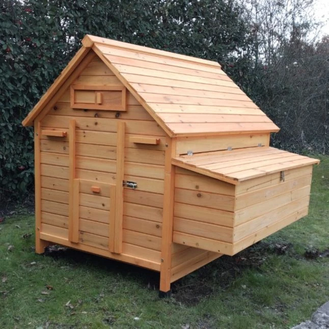 Toit De Poulailler Pour Cémani XL 6 à 10 Poules Bois 4 Toit De Poulailler Pour Cémani XL 6 à 10 Poules Bois – Image 2