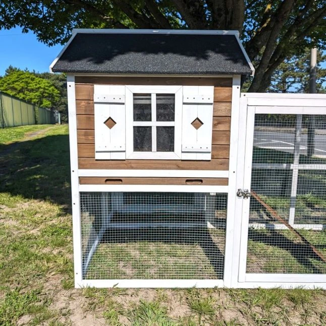 Poulailler Brahma Toit Shingle 6 à 8 Poules Bois FSC 7 Poulailler Brahma Toit Shingle 6 à 8 Poules Bois FSC – Image 5