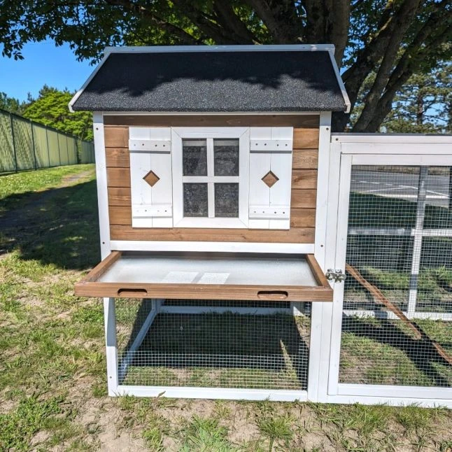 Poulailler Brahma Toit Shingle 6 à 8 Poules Bois FSC 8 Poulailler Brahma Toit Shingle 6 à 8 Poules Bois FSC – Image 6