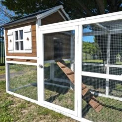 Poulailler Brahma Toit Shingle 6 à 8 Poules Bois FSC 22 Poulailler Brahma Toit Shingle 6 à 8 Poules Bois FSC -Poulaillers poulailler brahma vue c t 2