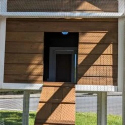 Poulailler Brahma Toit Shingle 6 à 8 Poules Bois FSC 35 Poulailler Brahma Toit Shingle 6 à 8 Poules Bois FSC -Poulaillers poulailler brahma vue entr poulailler