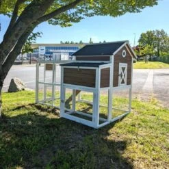 Poulailler Brahma Toit Shingle 6 à 8 Poules Bois FSC 26 Poulailler Brahma Toit Shingle 6 à 8 Poules Bois FSC -Poulaillers poulailler brahma vue face arri re