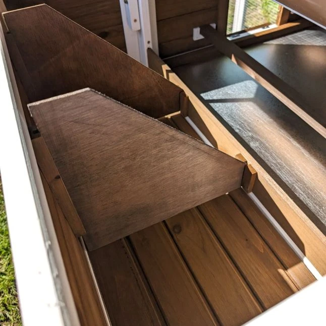 Poulailler Brahma Toit Shingle 6 à 8 Poules Bois FSC 13 Poulailler Brahma Toit Shingle 6 à 8 Poules Bois FSC – Image 11