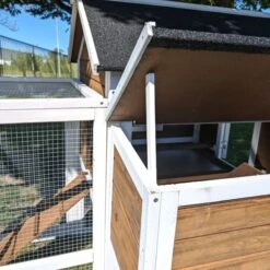 Poulailler Brahma Toit Shingle 6 à 8 Poules Bois FSC 30 Poulailler Brahma Toit Shingle 6 à 8 Poules Bois FSC -Poulaillers poulailler brahma vue m canisme ouverture tiroir dejection