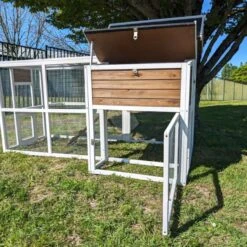 Poulailler Brahma Toit Shingle 6 à 8 Poules Bois FSC 25 Poulailler Brahma Toit Shingle 6 à 8 Poules Bois FSC -Poulaillers poulailler brahma vue tout ouvert