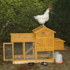 Poulailler Bréda S 1 à 2 Poules Toit Bois 24 Poulailler Bréda S 1 à 2 Poules Toit Bois -Poulaillers poulailler breda s 2 poules 1500s jean francois ranvier