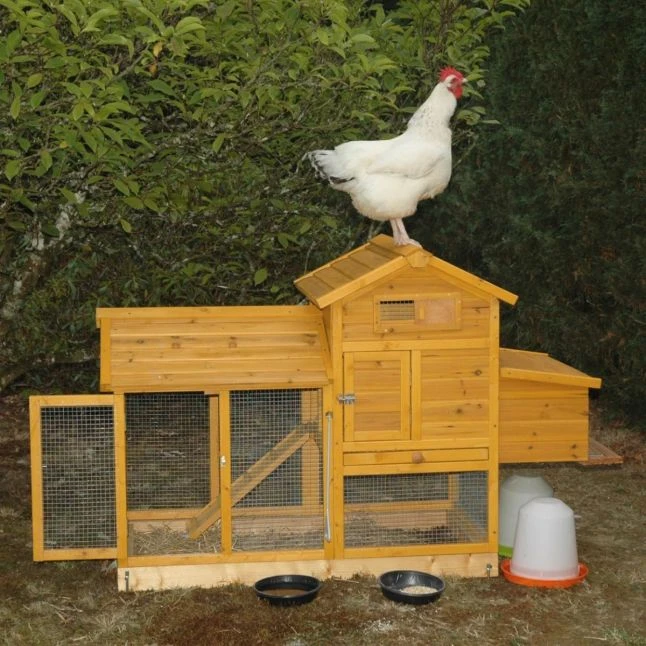 Poulailler Bréda S 1 à 2 Poules Toit Bois 13 Poulailler Bréda S 1 à 2 Poules Toit Bois – Image 11
