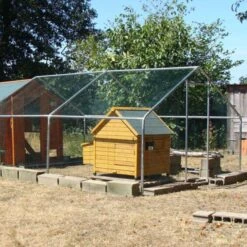 Poulailler Cémani L Toit Shingle Vert 4 à 6 Poules 13 Poulailler Cémani L Toit Shingle Vert 4 à 6 Poules -Poulaillers poulailler cemani dans parc grillage