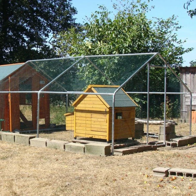 Poulailler Cémani L Toit Shingle Vert 4 à 6 Poules 8 Poulailler Cémani L Toit Shingle Vert 4 à 6 Poules – Image 6