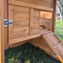 Poulailler Chabo Toit Shingle 2 à 4 Poules -Poulaillers poulailler chabo vue focus ouverture porte entr e