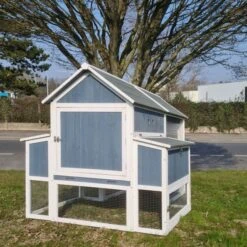 Poulailler Deluxe Bleu Toit Shingle Gris 10 à 12 Poules -Poulaillers poulailler deluxe 12 poules bleu vue dos