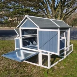 Poulailler Deluxe Bleu Toit Shingle Gris 10 à 12 Poules -Poulaillers poulailler deluxe 12 poules bleu vue dos ouvert