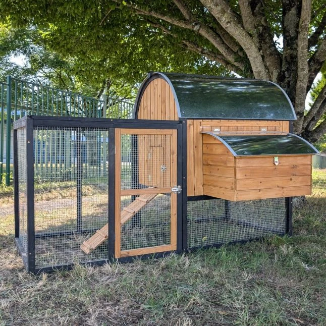 Parc Grillagé Pour Poulailler Finlandais 7 Parc Grillagé Pour Poulailler Finlandais – Image 5