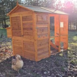 Poulailler Gaulois II Toit Shingle 6 à 10 Poules -Poulaillers poulailler gaulois ii 4 a 6 poules avec poules arriere
