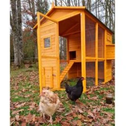 Poulailler Gaulois II Toit Shingle 6 à 10 Poules -Poulaillers poulailler gaulois ii 4 a 6 poules avec poules avant ouvert