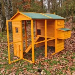 Poulailler Gaulois II Toit Shingle 6 à 10 Poules Avec Extension Parc Grillagé -Poulaillers poulailler gaulois ii 4 a 6 poules cote pondoir porte ouverte 1 1