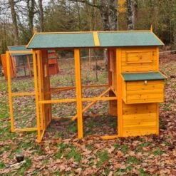 Poulailler Gaulois II Toit Shingle 6 à 10 Poules Avec Extension Parc Grillagé -Poulaillers poulailler gaulois ii 4 a 6 poules cote porte ouverte feuilles 1
