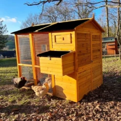 Poulailler Gaulois II Toit Shingle 6 à 10 Poules -Poulaillers poulailler gaulois ii toit shingle 4 8 poules arri re