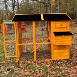 Poulailler Gaulois II Toit Shingle 6 à 10 Poules -Poulaillers poulailler gaulois ii toit shingle 4 8 poules vue c t 2