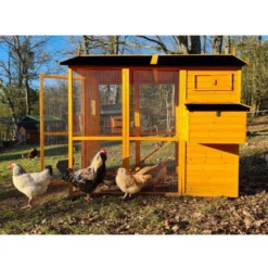 Poulailler Gaulois II Toit Shingle 6 à 10 Poules -Poulaillers poulailler gaulois ii toit shingle 4 8 poules vue c t