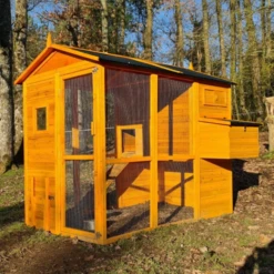 Poulailler Gaulois II Toit Shingle 6 à 10 Poules