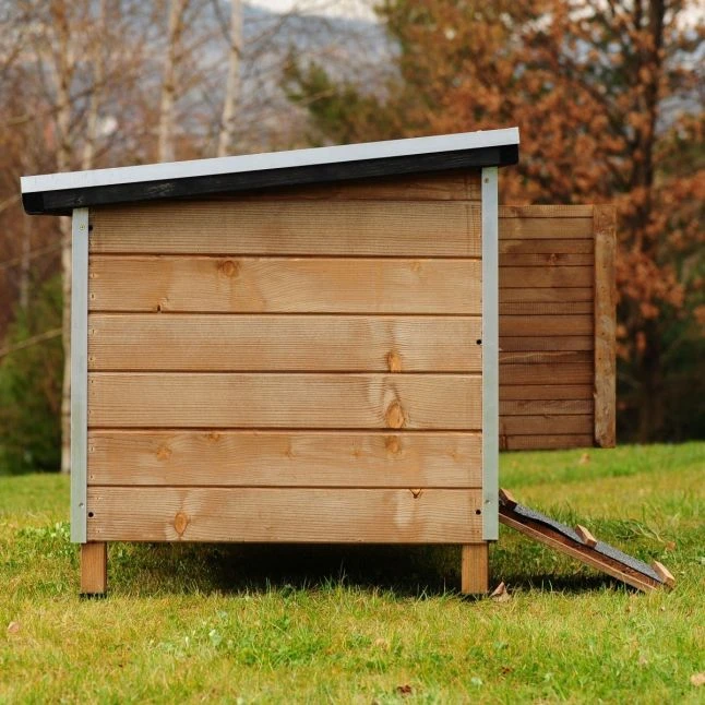 Poulailler Houdan XL Toit Shingle Noir 6 Poules Epicéa FSC 5 Poulailler Houdan XL Toit Shingle Noir 6 Poules Epicéa FSC – Image 3