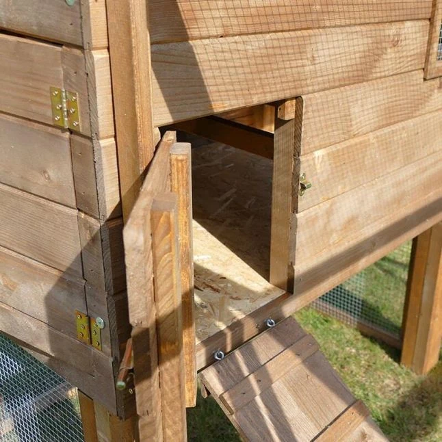 Poulailler Houdan XL Sur Pilotis Toit Shingle Noir 6 Poules Bois Epicéa 3 Poulailler Houdan XL Sur Pilotis Toit Shingle Noir 6 Poules Bois Epicéa – Image 2