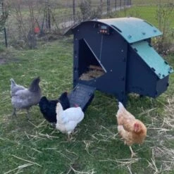 Poulailler Nestera Sur Pieds Taille S Plastique Recyclé 3 à 5 Poules Avec Portier Automatique Autonome Zen Farm -Poulaillers poulailler nestera small avec portier automatique