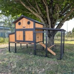 Poulailler Padoue Châssis Acier Toit Shingle 6 à 8 Poules Avec Parc Grillagé