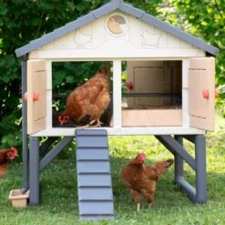 Poulailler Made In Jura Plastique 4 à 5 Poules - Smoby -Poulaillers poulailler plastique mij smoby face poules