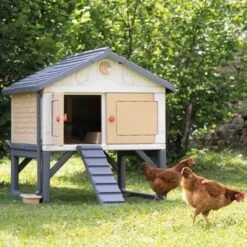 Poulailler Made In Jura Plastique 4 à 5 Poules - Smoby -Poulaillers poulailler plastique mij smoby face poules installe