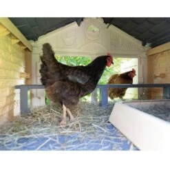 Poulailler Made In Jura Plastique 4 à 5 Poules - Smoby -Poulaillers poulailler plastique mij smoby interieur