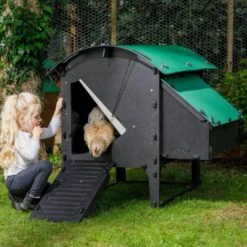 Poulailler Nestera Sur Pieds Taille M Plastique Recyclé 5 à 9 Poules -Poulaillers poulailler plastique recycle nestera m suggestion utilisation