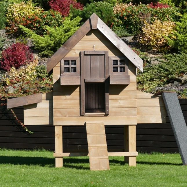 Poulailler Suisse XL Toit Shingle 8 à 10 Poules Bois Epicéa 8 Poulailler Suisse XL Toit Shingle 8 à 10 Poules Bois Epicéa – Image 6