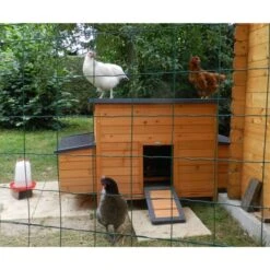 Poulailler Sussex XL Toit Shingle Noir Ouvrant 6 à 10 Poules Bois FSC -Poulaillers poulailler sussex xl deux pondoirs vue avant