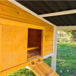 Poulailler Toit Renforcé M Toit Plastique 6 à 8 Poules -Poulaillers poulailler toit renforce 6 a 8 poules entree partie nuit