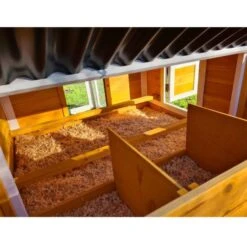 Poulailler Toit Renforcé M Toit Plastique 6 à 8 Poules -Poulaillers poulailler toit renforce 6 a 8 poules vue interieur