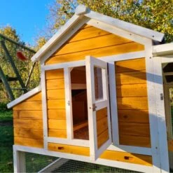 Poulailler Toit Renforcé M Toit Plastique 6 à 8 Poules -Poulaillers poulailler toit renforce 6 a 8 poules vue trappe