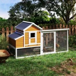 Poulailler Toit Renforcé M Toit Plastique 6 à 8 Poules -Poulaillers poulailler toit renforce m 6a8 poules installe cote 1