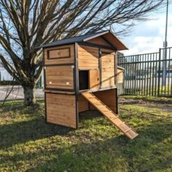 Poulailler Vorwerk Toit Shingle 10 à 12 Poules 18 Poulailler Vorwerk Toit Shingle 10 à 12 Poules -Poulaillers poulailler vorwerck vue c t