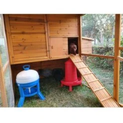 Poulailler Gournay Toit Shingle 10 à 12 Poules 18 Poulailler Gournay Toit Shingle 10 à 12 Poules -Poulaillers poulailler gournay 10 a 12 poules toit shingle vue interieur