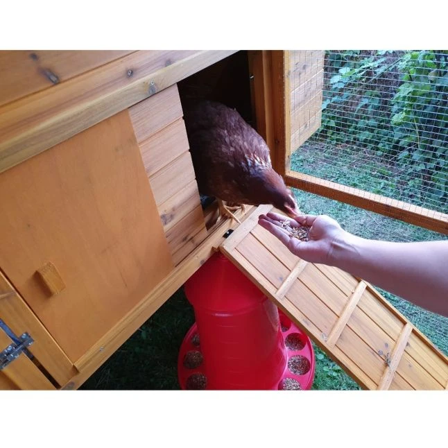 Poulailler Gournay Toit Shingle 10 à 12 Poules 9 Poulailler Gournay Toit Shingle 10 à 12 Poules – Image 7