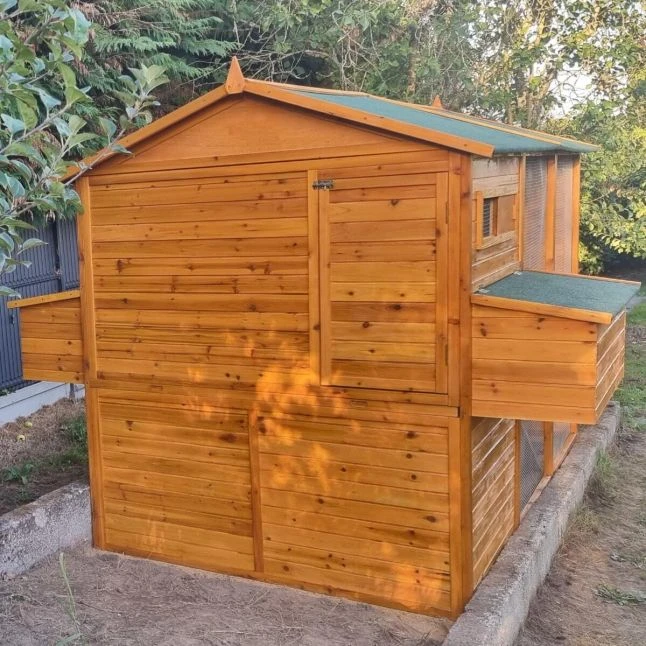 Poulailler Gournay Toit Shingle 10 à 12 Poules 14 Poulailler Gournay Toit Shingle 10 à 12 Poules – Image 12