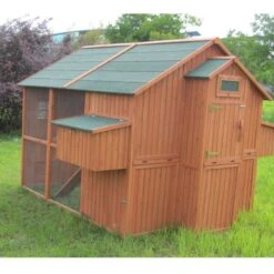 Poulailler Marans Toit Shingle 15 à 18 Poules -Poulaillers poulailler marans vue cote arriere