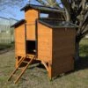 Poulailler Farmer L Toit Tôle Ouvrant 4 à 6 Poules Bois FSC Avec Rehausse 1 Poulailler Farmer L Toit Tôle Ouvrant 4 à 6 Poules Bois FSC Avec Rehausse -Poulaillers poulialler farmer avec rehausse